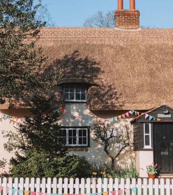 Why are thatched roofs expensive to insure?